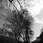 York In Black And White